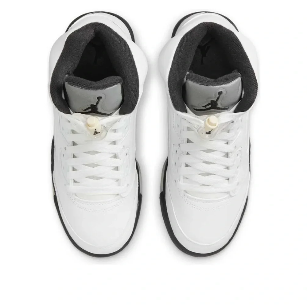 Nike Air Jordan 5 retro reverse silver 440889-110 3PS